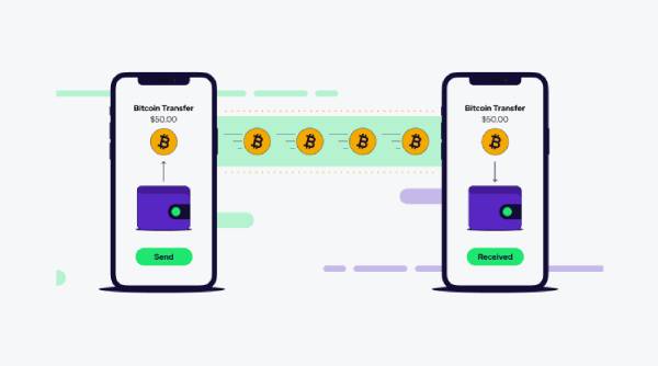 Bitcoin Starter Guide Illustration